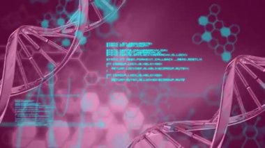DNA iplikçiklerinin ve bilimsel veri işlemenin animasyonu. Küresel bilim, hesaplama, veri işleme ve bağlantılar konsepti dijital olarak oluşturulmuş video.