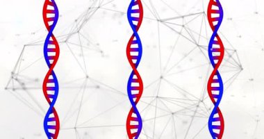 Beyaz arka plandaki bağlantıların üzerindeki DNA iplikçiklerinin animasyonu. Bilim, tıp ve bağlantılar konsepti dijital olarak oluşturulmuş video.
