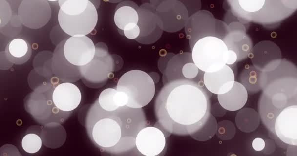 Анимация Вспышек Белых Линз Черном Фоне Цифровая Генерация Голограмма Иллюстрация — стоковое видео