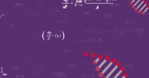 Animação Cadeias Dna Equações Matemáticas Sobre Fundo Roxo Conceito Ciência — Vídeo de Stock
