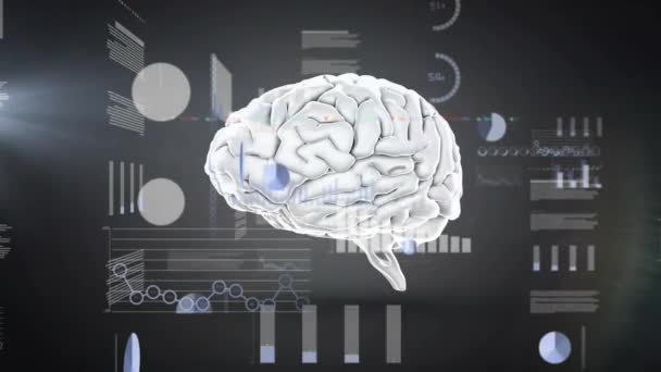 Animatie Van Gegevensverwerking Menselijk Brein Grijze Achtergrond Mondiale Wetenschap Onderzoek — Stockvideo