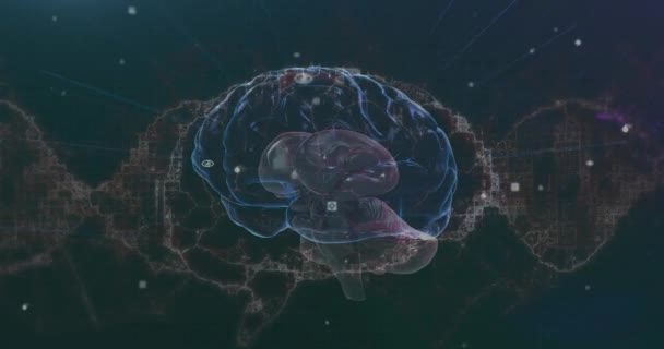 Animace Hledáčku Lidského Mozku Dynamického Vlnění Nad Abstraktním Pozadím Digitálně — Stock video