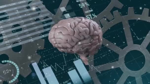 Animacja Interfejsu Infograficznego Nad Obracającym Się Ludzkim Mózgiem Czarnym Tle — Wideo stockowe