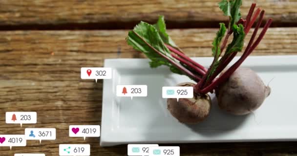 Animation Social Media Icons Foating Close Beetroot Sliced Beetroot Plate — Stock Video