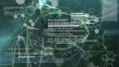 İnsan beyni üzerinde bilimsel veri işleme animasyonu. Küresel bilim, bağlantılar, hesaplama ve veri işleme kavramı dijital olarak oluşturulmuş video.