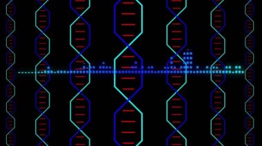 Ses dalgası animasyonu ve siyah arkaplana karşı resimli DNA sarmalları. Dijital olarak üretilmiş, hologram, dengeleyici, anatomi, molekül, tıbbi, sağlık ve teknoloji konsepti.