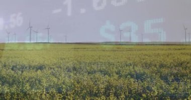 Kırsal alanda rüzgar türbinleri üzerinde finansal veri işleme animasyonu. Küresel çevre, iş ve veri işleme kavramı dijital olarak oluşturulmuş video.