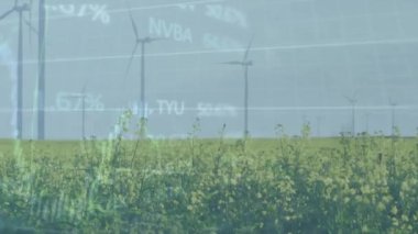 Gökyüzüne karşı çimenli arazilerdeki yel değirmenlerinin üzerinde çoklu grafiklerin ve ticaret panolarının animasyonu. Dijital bileşik, çoklu pozlama, rapor, iş, büyüme, borsa ve sürdürülebilir enerji kavramı.