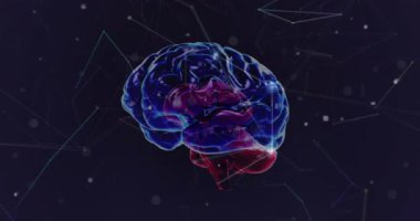 Siyah arkaplan üzerinde dönen dijital beyin üzerindeki çizgilerle bağlantılı aydınlatılmış noktaların animasyonu. Dijital olarak üretilmiş, illüstrasyon, iletişim, anatomi, yapay zeka ve teknoloji.