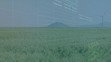 Grafiklerin animasyonu, rakamların değişmesi ve çimenli arazide yel değirmenlerinin üzerinde ticaret tahtaları. Dijital bileşik, çoklu pozlama, rapor, iş, büyüme, borsa ve sürdürülebilir enerji.
