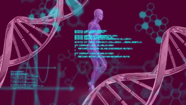 Animace Vláken Dna Zpracování Lidského Těla Vědeckých Dat Global Science — Stock video