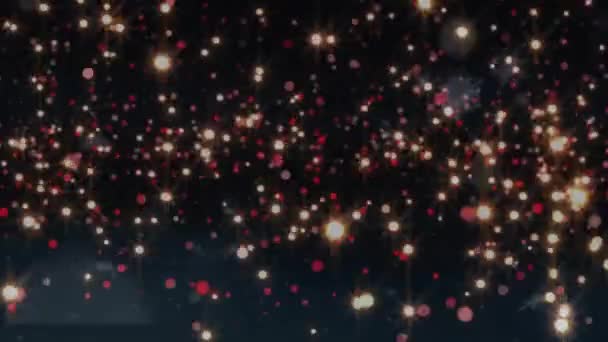 Анимация Разноцветных Кругов Идущих Вверх Черном Фоне Цифровая Генерация Голограмма — стоковое видео