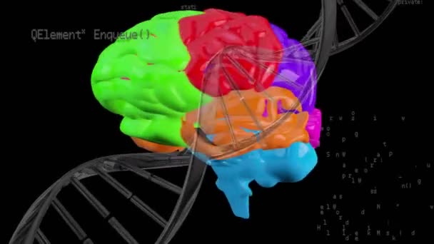 Animación Adn Cerebro Humano Procesamiento Datos Ciencia Global Investigación Conexiones — Vídeo de stock