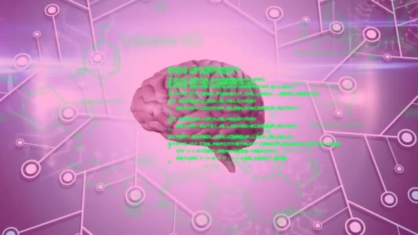 Nsan Beyninin Animasyonu Bilimsel Veri Işleme Küresel Bilim Hesaplama Veri — Stok video