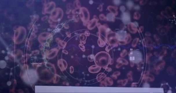 ウイルス 血液細胞 抽象的な背景に対するヌクレオチドを持つヒトの脳のアニメーション デジタル生成 ホログラム 解剖学 人工知能 — ストック動画