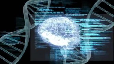 İnsan beyni animasyonu, DNA iplikleri ve veri işleme. Küresel bilim, araştırma, bağlantılar, hesaplama ve veri işleme kavramı dijital olarak oluşturulmuş video.