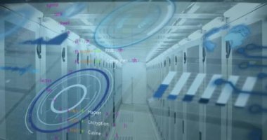 Veri sunucu odasında dünya, grafikler, daireler ve bilgisayar programlama dilinin animasyonu. Dijital bileşik, çoklu pozlama, küreselleşme, rapor, iş dünyası, kodlama, veri merkezi ve teknoloji.