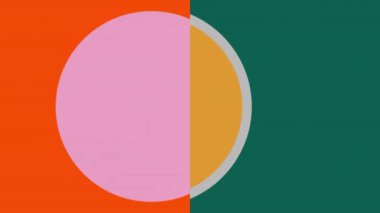 Kırmızı ve yeşil arka planda çiçeklerin ve renkli şekillerin animasyonu. Arkaplan tasarımı, renkler ve şekiller dijital olarak oluşturulmuş video konsepti.