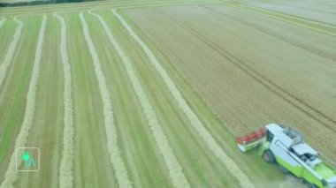 Kırsal tarım arazisi üzerinde ekolojik simgelerin ve veri işlemenin animasyonu. Küresel tarım, tarım, bağlantılar, hesaplama ve veri işleme kavramı dijital olarak oluşturulmuş video