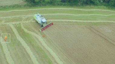 Kırsal tarım arazisi üzerinde ekolojik simgelerin ve veri işlemenin animasyonu. Küresel tarım, tarım, bağlantılar, hesaplama ve veri işleme kavramı dijital olarak oluşturulmuş video