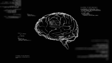 İnsan beyninin animasyonu ve bilimsel veri işleme. Küresel bilim, bağlantılar, hesaplama ve veri işleme kavramı dijital olarak oluşturulmuş video.