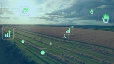 Kırsal tarım arazisi üzerinde ekolojik simgelerin ve veri işlemenin animasyonu. Küresel tarım, tarım, bağlantılar, hesaplama ve veri işleme kavramı dijital olarak oluşturulmuş video