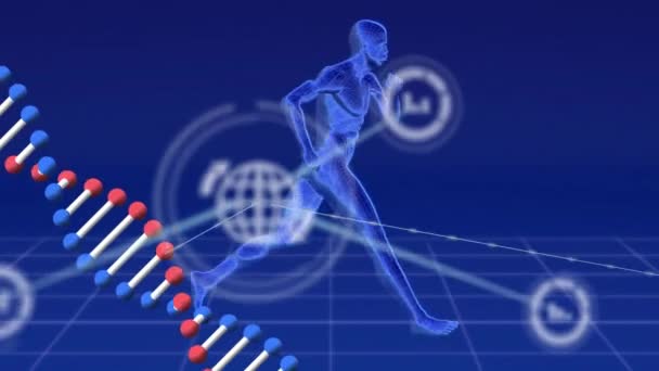 Dna ストランドと科学データ処理のアニメーションは 人間の走行を介して接続します グローバルサイエンス コネクション コンピューティング データ処理コンセプトデジタル生成ビデオ — ストック動画