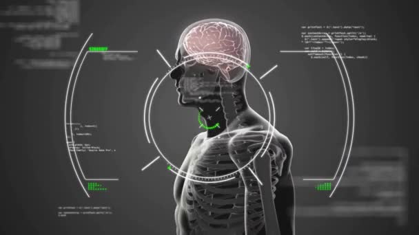 Анимизация Человеческого Мозга Обработка Научных Данных Глобальная Наука Связи Вычислительная — стоковое видео