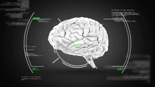 Nsan Beyninin Animasyonu Bilimsel Veri Işleme Küresel Bilim Bağlantılar Hesaplama — Stok video