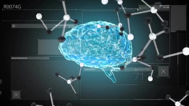 Ihmisen Aivojen Animaatio Tieteellinen Tietojenkäsittely Maailmanlaajuinen Tiede Yhteydet Laskenta Tietojenkäsittely — kuvapankkivideo