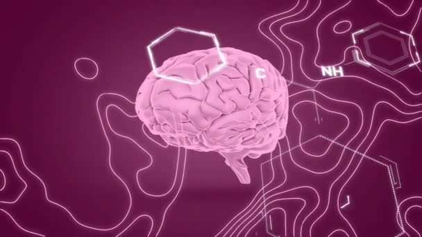 Animacja Ludzkiego Mózgu Przetwarzanie Danych Naukowych Koncepcja Globalnej Nauki Połączeń — Wideo stockowe
