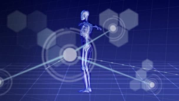 人体动画和科学的数据处理过程中的连接 全球科学 计算和数据处理概念 — 图库视频影像
