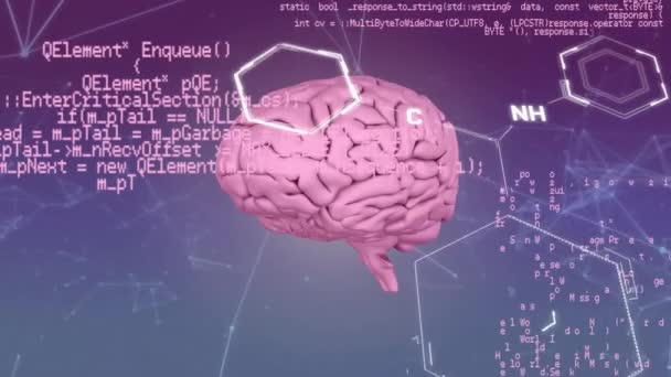 Animering Mänsklig Hjärna Och Vetenskaplig Databehandling Global Vetenskap Anslutningar Databehandling — Stockvideo