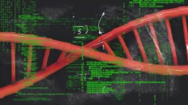 Karanlık arka planda DNA ipliği ve veri işleme animasyonu. Küresel yapay zeka, araştırma, bağlantılar, hesaplama ve veri işleme kavramı dijital olarak oluşturuldu.