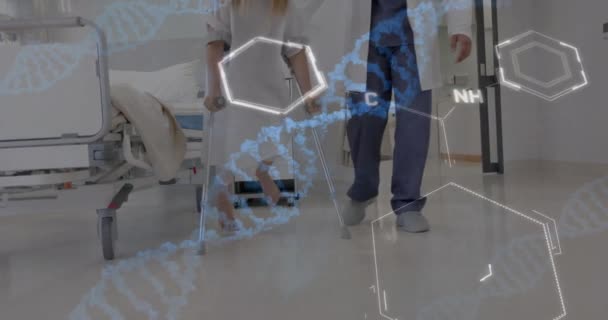 Dnaストランドのアニメーションと患者との医師のデータ処理 グローバル医療 コネクション コンピューティング データ処理のコンセプトをデジタル生成したビデオ — ストック動画