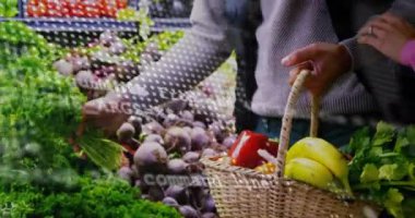 Kafkasyalı çiftler için market alışverişinde finansal veri işleme animasyonu. Küresel alışveriş, iş, bağlantılar, hesaplama ve veri işleme kavramı dijital olarak oluşturulmuş video.