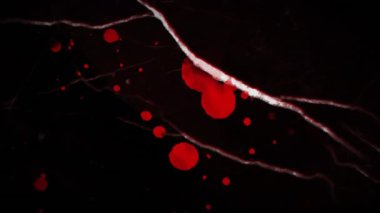 Kırmızı sıçramaların animasyonu ve hareket eden ve değişen doku ve siyah arkaplanda kopyalama alanı. Doku, renk ve hareket konsepti dijital olarak oluşturulmuş video.