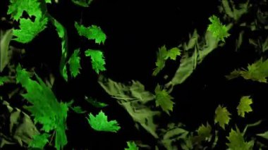 Siyah arkaplanda yeşil yaprakların animasyonu. Arkaplan, şekiller, renkler ve dijital olarak üretilen doğa konsepti.