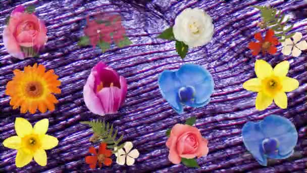 在移动的紫色纹理上动画化的一排排花 并复制黑色背景上的空间 颜色和移动概念数字生成的视频 — 图库视频影像