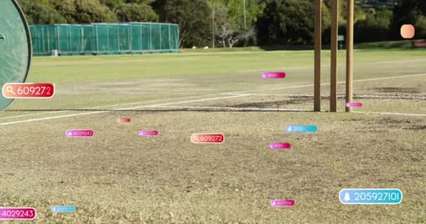 Animation Social Media Notifications Roller Stumps Cricket Αθλητισμός Αθλητικοί Χώροι — Αρχείο Βίντεο