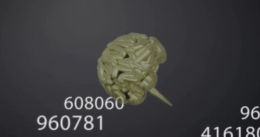 İnsan beyninin animasyonu ve gri arkaplanda veri işleme işlemi. Dijital olarak oluşturulmuş küresel yapay zeka, bağlantılar, hesaplama ve veri işleme kavramı.