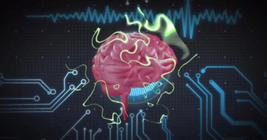 Devre kartından insan beyni ve veri işleme animasyonu. Dijital olarak oluşturulmuş küresel yapay zeka, bağlantılar, hesaplama ve veri işleme kavramı.