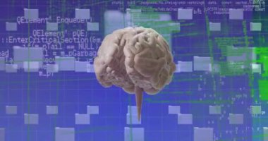 Bilgisayar dosyaları üzerinde beyin ve veri işleme ile ai metin animasyonu. Küresel finans, iş, bağlantılar, hesaplama ve veri işleme kavramı dijital olarak oluşturulmuş video.