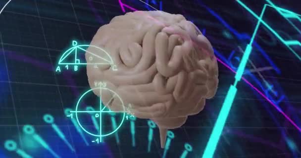 Animation Des Menschlichen Gehirns Und Mathematische Datenverarbeitung Globales Geschäft Verbindungen — Stockvideo