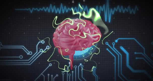 サーキットボード上の人間の脳とデータ処理のアニメーション グローバル人工知能 コンピューティング データ処理コンセプトデジタル生成ビデオ — ストック動画