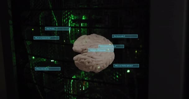 Animation Des Menschlichen Gehirns Und Datenverarbeitung Auf Schwarzem Hintergrund Globale — Stockvideo