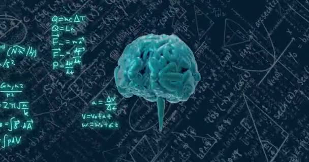 Nsan Beyninin Animasyonu Matematiksel Veri Işleme Küresel Bağlantılar Hesaplama Veri — Stok video