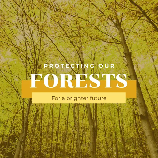 Composto Proteger Nossas Florestas Para Texto Futuro Mais Brilhante Belas — Fotografia de Stock