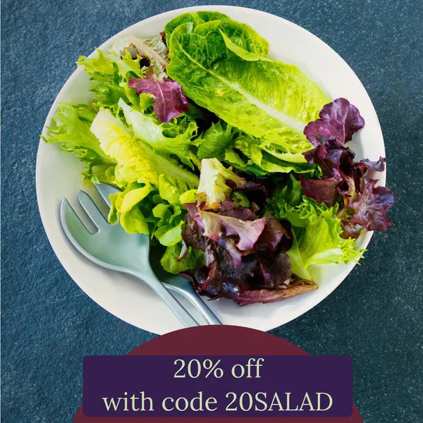 Composite of 20 percent off with code 20salad text over plate with vegetable salad. Isolated image, sale, shopping, code, information, food and drink and writing concept.