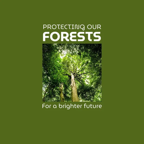 森で育つ緑豊かな木の複合体は より明るい未来のテキストのために森を保護します 環境保全のコンセプトをコピーする — ストック写真